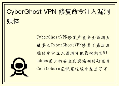 CyberGhost VPN 修复命令注入漏洞 媒体