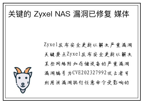 关键的 Zyxel NAS 漏洞已修复 媒体