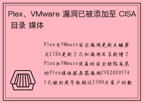 Plex、VMware 漏洞已被添加至 CISA 目录 媒体