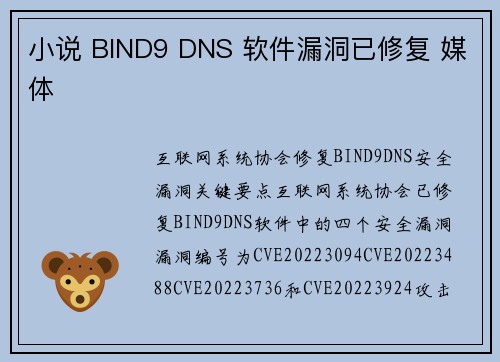 小说 BIND9 DNS 软件漏洞已修复 媒体